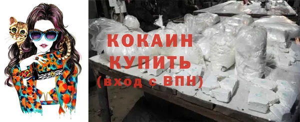 твердый Балахна